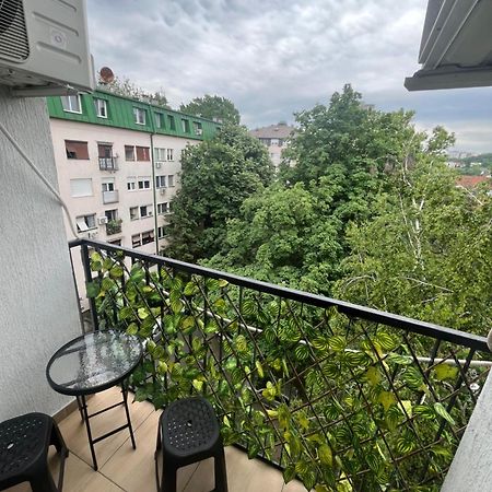 Pavlovic Apartman Beograd Eksteriør bilde