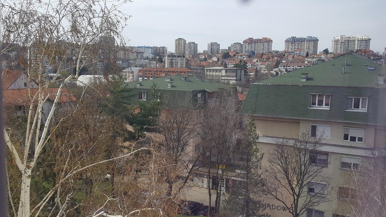 Pavlovic Apartman Beograd Eksteriør bilde